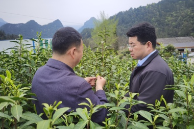 港澳资料免费大全