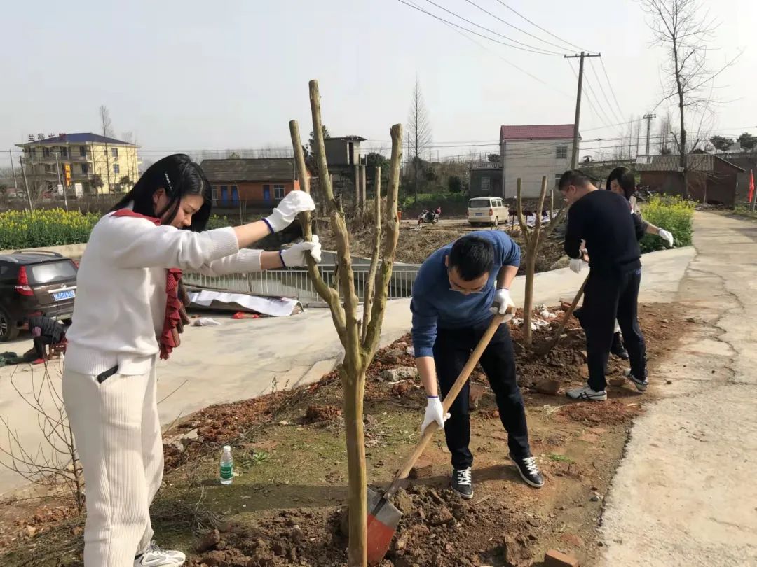 港澳资料免费大全